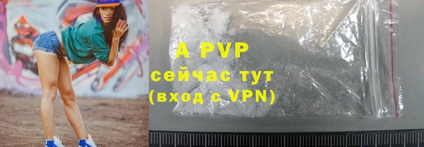 PSILOCYBIN Инсар