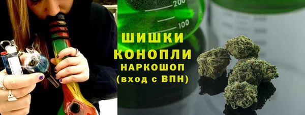 крисы Каменногорск