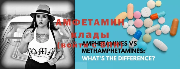 твердый Иннополис