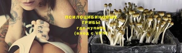 PSILOCYBIN Инсар