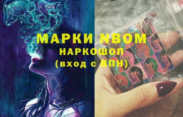 PSILOCYBIN Инсар
