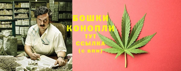 твердый Иннополис