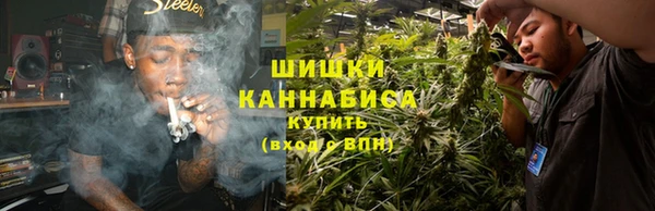 PSILOCYBIN Инсар