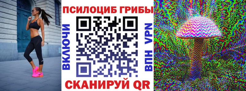 Псилоцибиновые грибы GOLDEN TEACHER  Купить где  Липки 