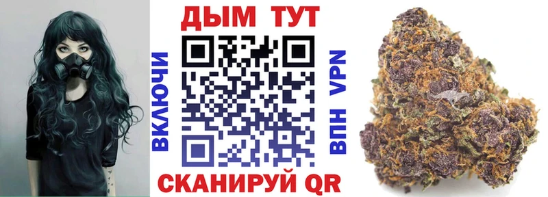 Купить  Липки  Канабис планчик 